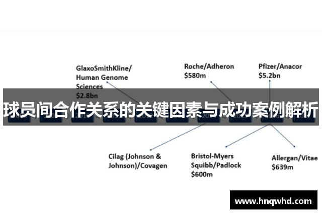 球员间合作关系的关键因素与成功案例解析