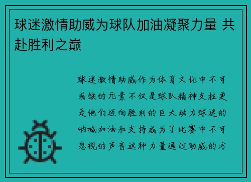 球迷激情助威为球队加油凝聚力量 共赴胜利之巅