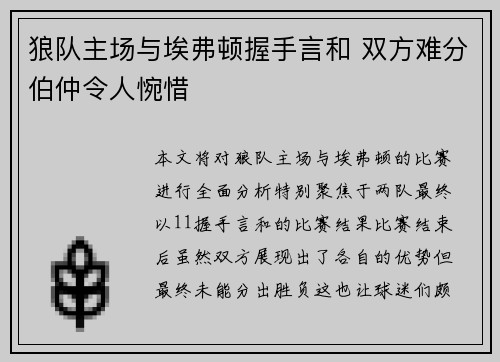 狼队主场与埃弗顿握手言和 双方难分伯仲令人惋惜