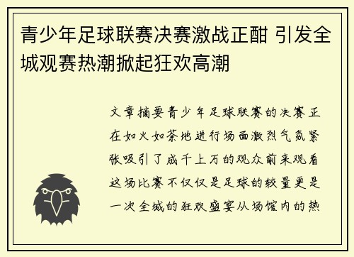 青少年足球联赛决赛激战正酣 引发全城观赛热潮掀起狂欢高潮