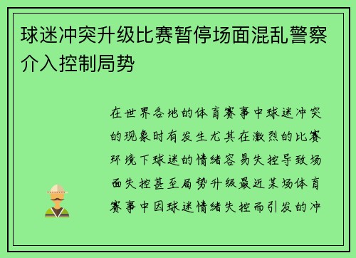 球迷冲突升级比赛暂停场面混乱警察介入控制局势