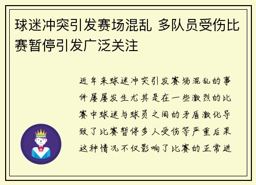 球迷冲突引发赛场混乱 多队员受伤比赛暂停引发广泛关注